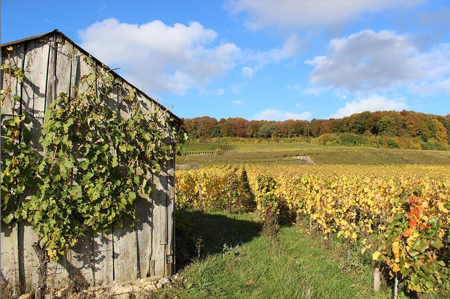 Vila Gite Du " Bas Du Cru " Romery  Exteriér fotografie