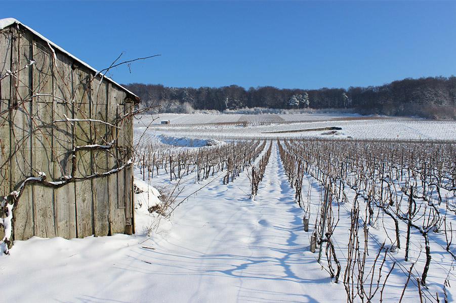 Vila Gite Du " Bas Du Cru " Romery  Exteriér fotografie